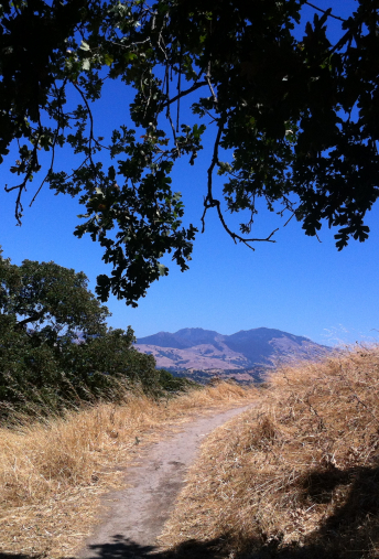 Mystery Number — The 10 Most Common DIY Divorce Mistakes & How to Avoid Them