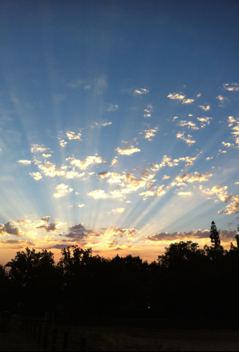 How Serious Are You About Getting Divorced?