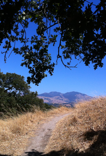 Mystery Number — The 10 Most Common DIY Divorce Mistakes & How to Avoid Them